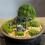 Mini landscape tree decor for DIY sand table 3.14x3.93 in 4