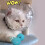 Cat Muzzle and Boots Combo for Grooming 1 Set 2