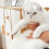 Cat Muzzle and Boots Combo for Grooming 1 Set 6