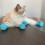 Cat Muzzle and Boots Combo for Grooming 1 Set 7