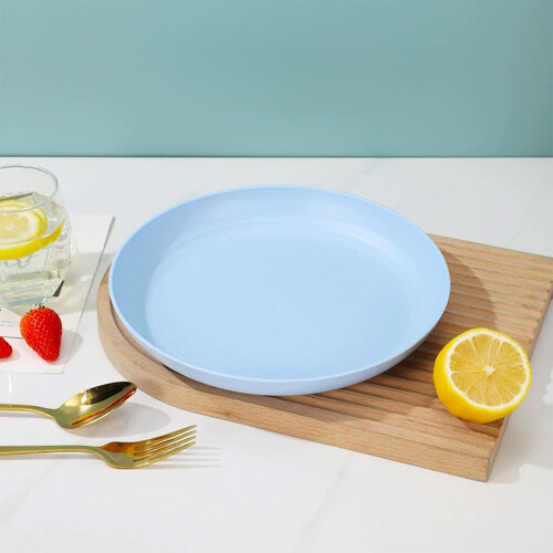 Shatterproof Plastic Dinner Tray Reusable Microwave 1