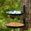 3-Tier Bird Feeder and Bath Tray with Plastic Bowl and 2