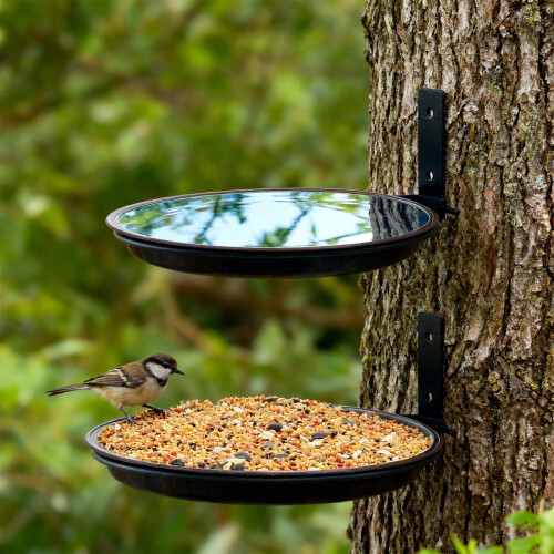 3-Tier Bird Feeder and Bath Tray with Plastic Bowl and 1