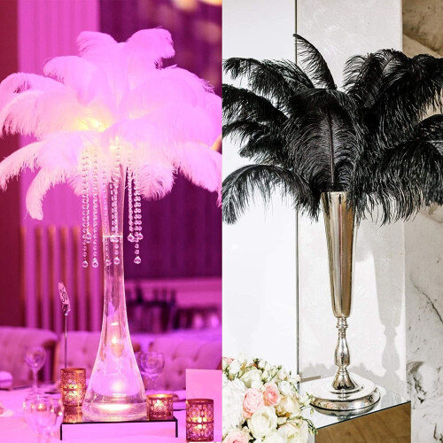Ostrich Feathers Mixed Colors 50 pcs 7.9-9.8 in 2
