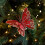 Glitter Butterfly Christmas Ornament Red 3 PCS 4