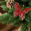 Glitter Butterfly Christmas Ornament Red 3 PCS 6