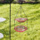 Outdoor Hanging Bird Feeder for Balcony Use 4