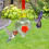 EARKITY Bird Buddy Feeder Jar Heart-Shaped Hanging 6