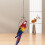 Black Iron Bird Swing Toy for Small Birds 1 Set 7