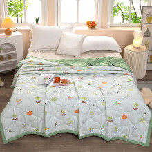 Summer Quilt Washed Cotton Lightweight Coverlet 39x59 Inch