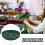 Hemoton Plastic Flower Mud Holders Round Green Bowls 4pcs 3