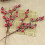 Artificial Holly Berry Stem Picks Red Snow 12 pcs 3