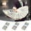 Money Bands Currency Straps 300 Pcs 2