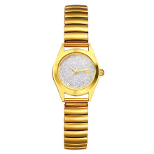 Stretch Strap Watch for Women Gold Silver Tone Big Dial