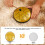 Steel Tongue Drum 11 Note 6 Inch Rustproof 6