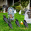 Halloween Crow Ornament Black Plastic 1 Piece 4