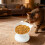 Clear Acrylic Bird Feeder with Suction Cups and Drainage 6