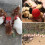 Plastic Automatic Chick Waterer and Feeder 1 Set 7