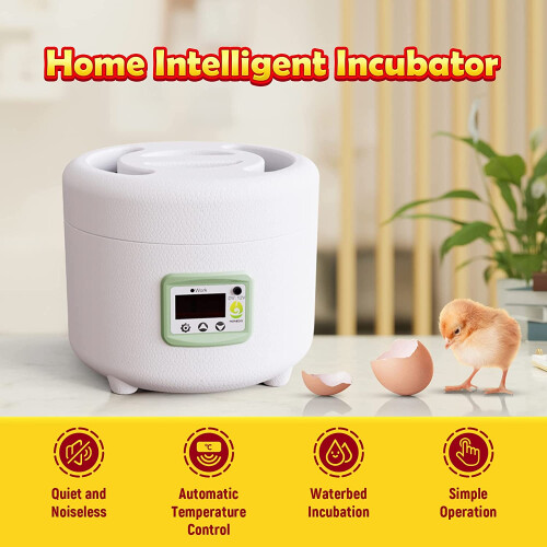 Electric Egg Incubator for Chicken Quail Duck 9 Eggs 2