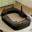 Open-Top Cat Litter Box Splashproof High-Sided with Litter 1