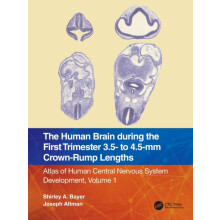 The Human Brain during the First Trimester 3.5 to 4.5mm CrownRump Leng