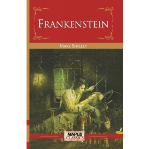 Frankenstein by Mary Shelley Paperback Book