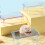 Transparent Detachable Hamster Platform with Clear Food 4
