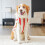 Dog Sweater Knitted Turtleneck Pullover 3XL 6