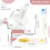 Manual Yarn Ball Winder with Detachable Clip 3