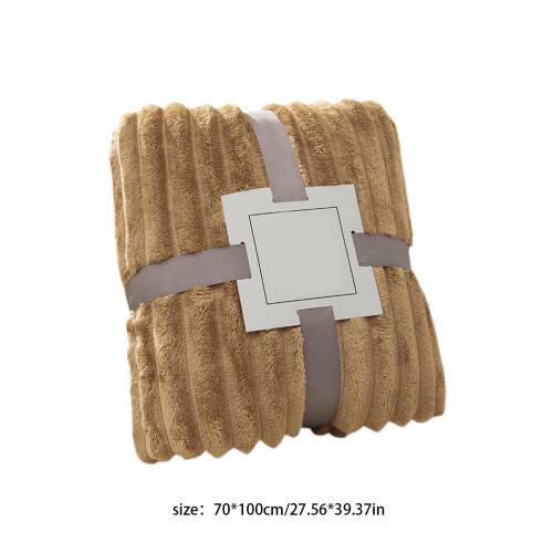 Raschel Winter Blanket Double-Layer Ultra-Soft Plush 2