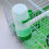 Automatic Bird Water Dispenser for Parrots Budgies Canaries 6