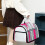 Pet Travel Backpack Foldable Breathable Mesh 1 Unit 4