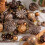 Artificial Pinecone Christmas Ornaments Brown 53PCS 6