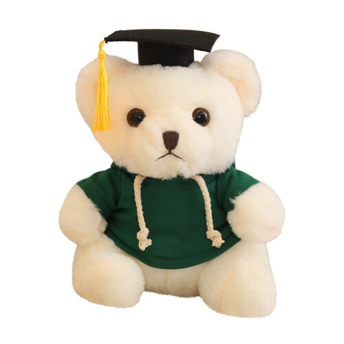 Graduation Bear Doll Soft Plush 23cm 1