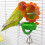 Plastic Bird Bath Feeder with Mirror and Sunflower Design 5