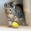Interactive Dog Toy Rolling Smart Rotary Toy Type-C 3