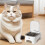 Automatisk kattmatare med sensor och timer 4