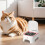 Automatisk kattmatare med sensor och timer 5