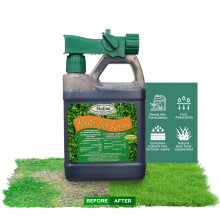Medina HastaGro Engrais Liquide pour Pelouse - 12-4-8 Engrais Prêt à Vaporiser pour Entretien de Pelouse