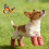 Dog Snow Boots Lightweight Adjustable Winter Shoes 4