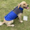 Reflective Waterproof Dog Coat Winter Warm Small Medium 7