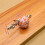 Ceramic Knobs Blue White 41mm 2 Pack 2