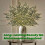 Christmas Lighted Norfolk Pine Branches 13.8 inch 8