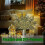 Christmas Lighted Norfolk Pine Branches 13.8 inch 5