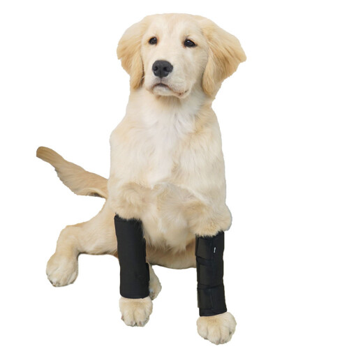 Pet Joint Protector JT2 - Sort til støtte af hunde  L