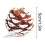 Natural Pine Cones with White Edges 9 Pcs 4