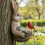 Easter Bunny Resin Garden Feeder with Eggs and Woven Basket 3