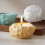 Silicone Resin Mold Set Conch Design 6 pcs 6
