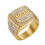 Men's Stainless Steel CZ Ring Gold Size 8 1