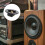 Compact Subwoofer Speaker Box Terminal with Gold-Plated 5